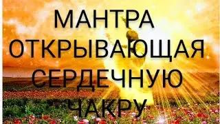 #медитация
