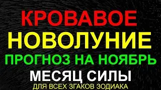 НОВОЛУНИЕ В СКОРПИОНЕ 01.11. ПРОГНОЗ НА НОЯБРЬ. МЕСЯЦ СЧАСТЬЯ ДЛЯ ВСЕХ ЗНАКОВ ЗОДИАКА 👍🌶🔥