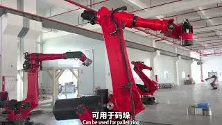 BRTIRUS2830B, six axis robot with a load of 300kg