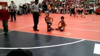monti the mat monster