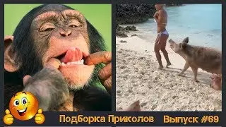 Лучшие приколы 2019 Февраль | Тест на психику | ПО ПРИКОЛУ#69😂 | Свежая подборка