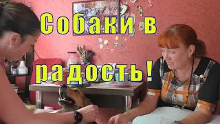 В ГОСТЯХ У ЛОРИКА /МОЛОЧНЫЙ ГРИБ /СОБАКИ В РАДОСТЬ /18 июня 2023