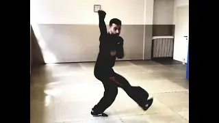 Kung Fu Tang Lang Awesome Skills - M Fu Lin Fulvio Falanga - Luan Jie - Lan Jie