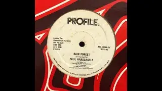 Paul Hardcastle - Rainforest