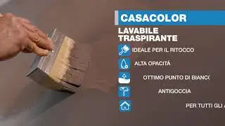 MaxMeyer - CASACOLOR