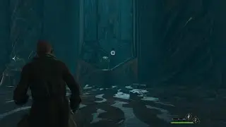 Hogwarts Legacy - cool physical effects