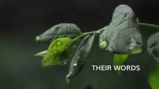 Their Words - Original Song (Rough Mix)