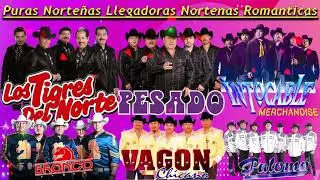 Los Tigres Del Norte, Pesado, Intocable, Bronco, Vagon Chicano, Palomo, Y Mas