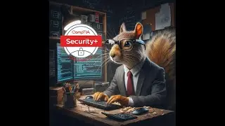 CFO Squirrel attempts the CompTIA SY0-701 Practice Exam