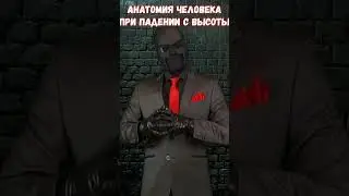 Почему человек разбивается при падении с большой высоты?