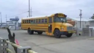 Bus #557