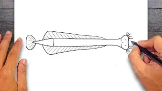 How to draw Arrow Worm - Annelids Drawing