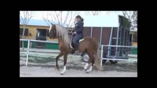 videonatura