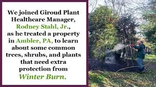 Plants that Need Winter Protectant