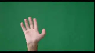 Hands Up Waving Hello Green Screen Effect | Gesture Say Hi Chroma Key in HD 4K