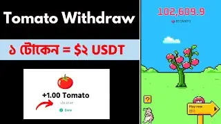1 tomato = $2 live Withdraw Update ||  Tomato কিভাবে Withdraw করবো New update levels system