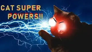 Super Cat!