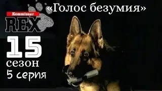 Комиссар Рекс, 15 сезон, 5 серия «Голос безумия»