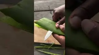 Jus d'aloe vera