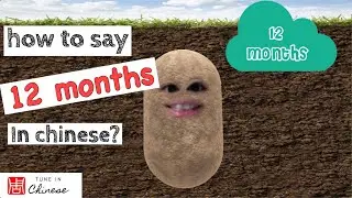 How to say 12 months in Chinese? 怎么说十二个月？