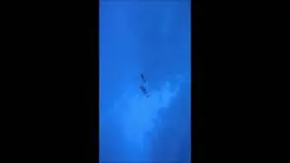 entrenamiento 30 metros con cuerda en Roatan
