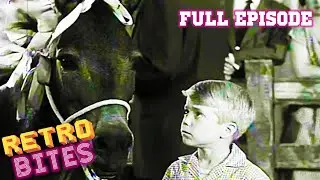Lassie | The Horseshow |  Full Episodes  🐕