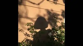Oranje Space - Lucy
