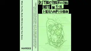 Destructive Floating Rot In The Heliamphora - Multi Generational Photosynthetic Mutation (2016)