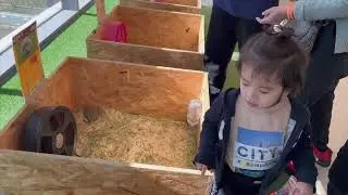할머니 영상