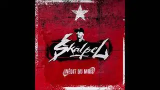 Skalpel - Sang Feat Polar #InéditDuMois #Mars2024