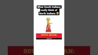 What South Indians really think of North Indians 🤯 