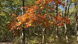 Beautiful People — Melanie/Melanie Safka (Cover)