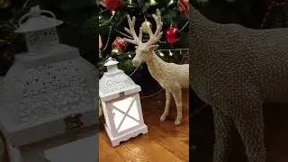 Дизайнерская ёлка Арины Киевской 🎄 