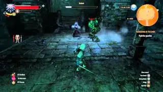 Witcher 3: Hoppy Plays with a Golem & Gargoyle