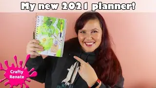 Daphne's Diary 2021 flip through