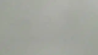 купил прилипал