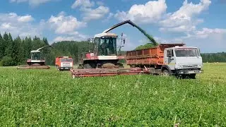 Заготовка силоса 2023. Вспашка пара КИРОВЕЦ К-525 с ПКС 6 и КИРОВЕЦ К-739 с ПКС 10, КАМАЗ, ДОН-680