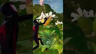 Why does controller players have aim assist and keyboard and mouse players don't. 