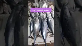 Цены ШОК! #турецкийрынок #едавтурции #турция #мерсин #эрдемли
