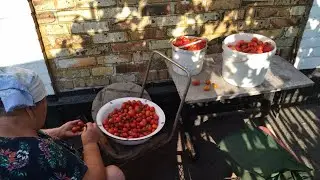 🌻🌺В селе у СВЕКРУНЬКИ !👍🙋‍♀️🥗
