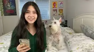 How to use TikTok a social media platform