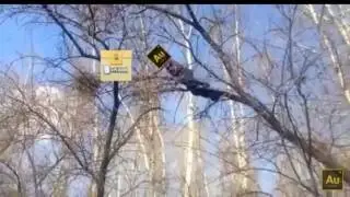 АУРУМУ ДО 15000 КАРТ))