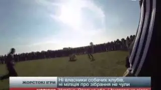Собачьи бои в Татарбунарах
