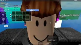 Roblox gameplay
