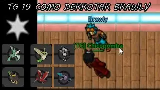 [PXG/TG 19] - Como vencer NPC Brawly (Gardestrike) fácil, fácil, com time Wingeon