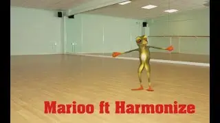 MARIOO FT HARMONIZE - NAOGOPA (Official Katuni video)