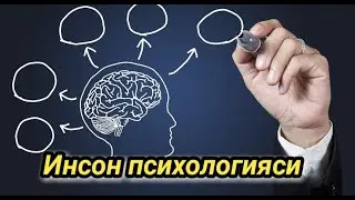 Инсон писихологияси
