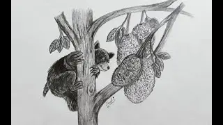 How to draw a Bear step by step | Easy Bear drawing for Beginners.