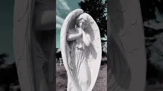 Beauty made of stone #grave #cemetery #grief #memory #beautiful