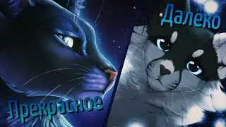 Ласточка и Синяя Звезда: Прекрасное далёко